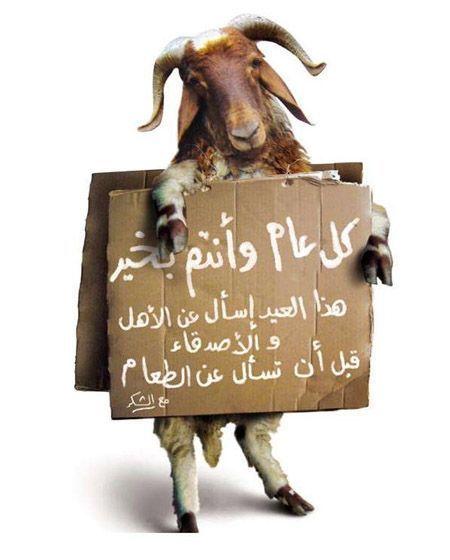 mobrok l3wachir